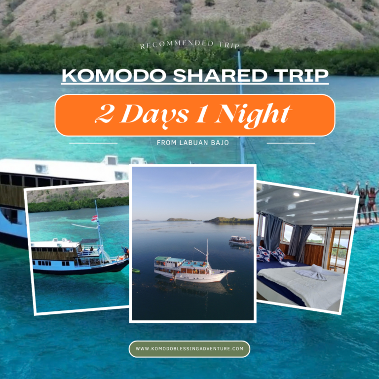 Komodo Shared Tour 2D 1N