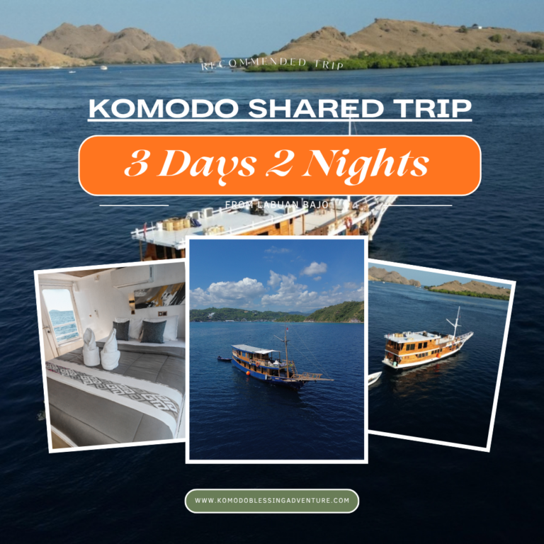 Komodo Shared Trip 3D 2N