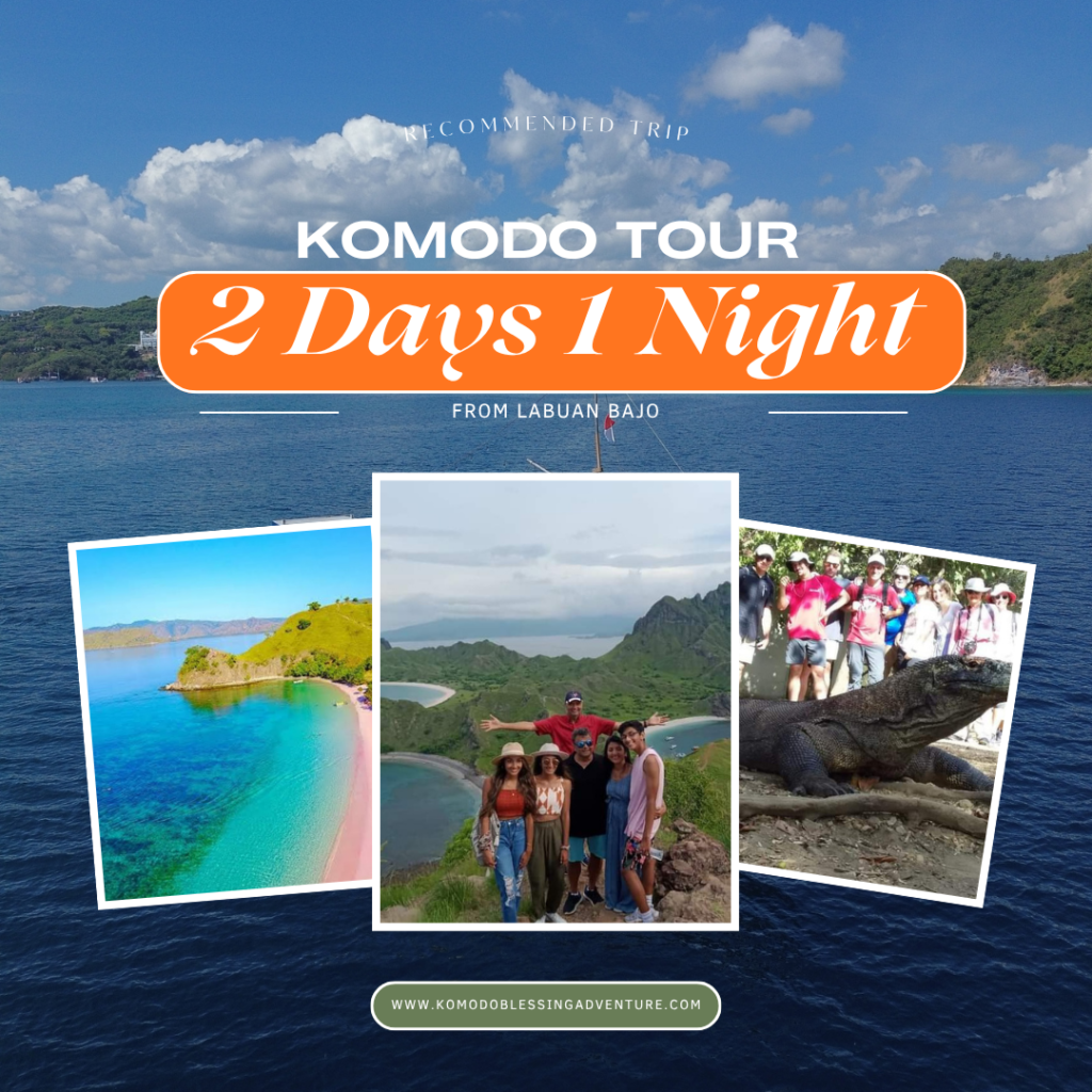 Komodo Shared Tour 2D 1N
