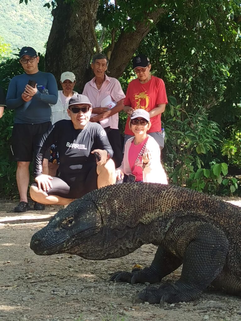 Komodo Shared Trip 3D 2N
