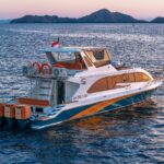 One Day Komodo Tour